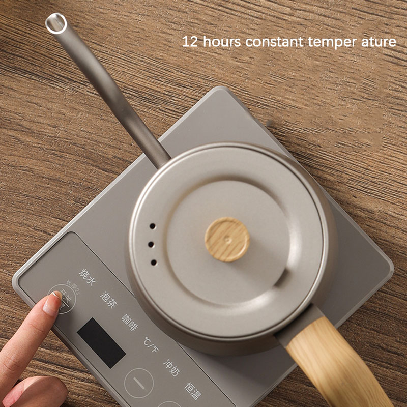 110 В 220 В чайник, чайник, гу – обзор и цена Electric Kettle Gooseneck